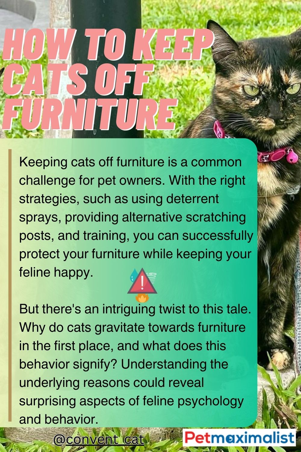 How to Keep Cats Off Furniture 15 Effective Methods To Try Today