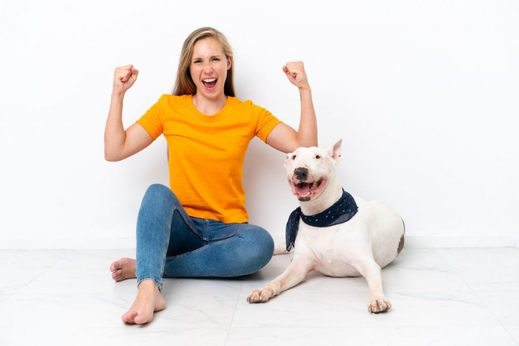 Target Dog Breed Everything You Need to Know Before Owning PetMaximalist