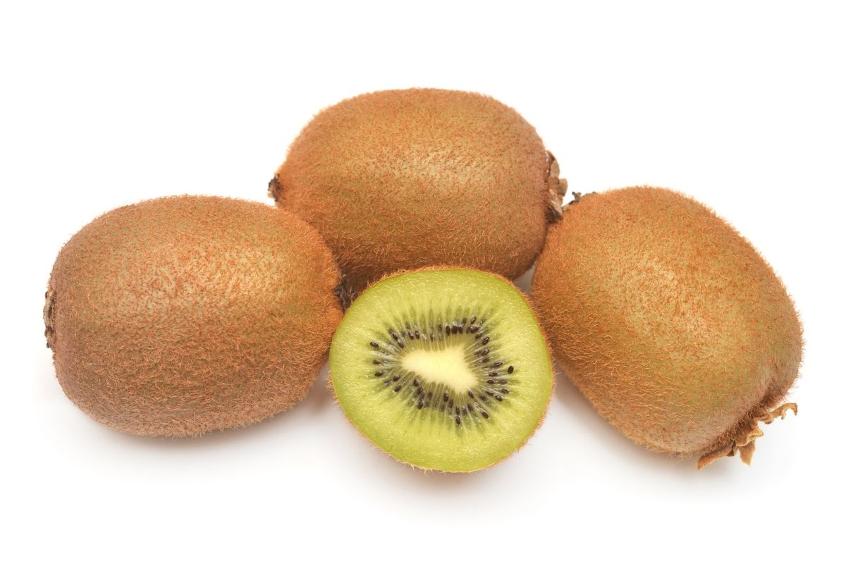 can dogs eat kiwi