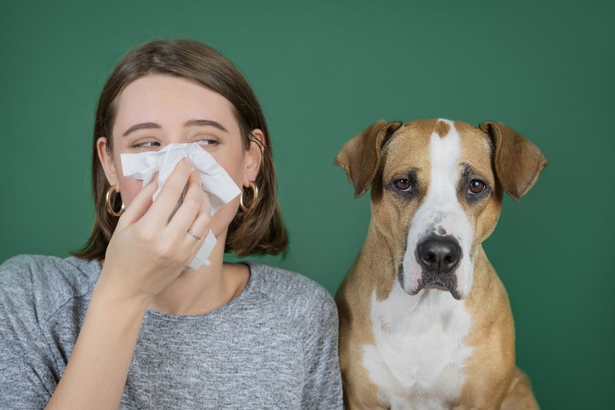 dog coughing and gagging