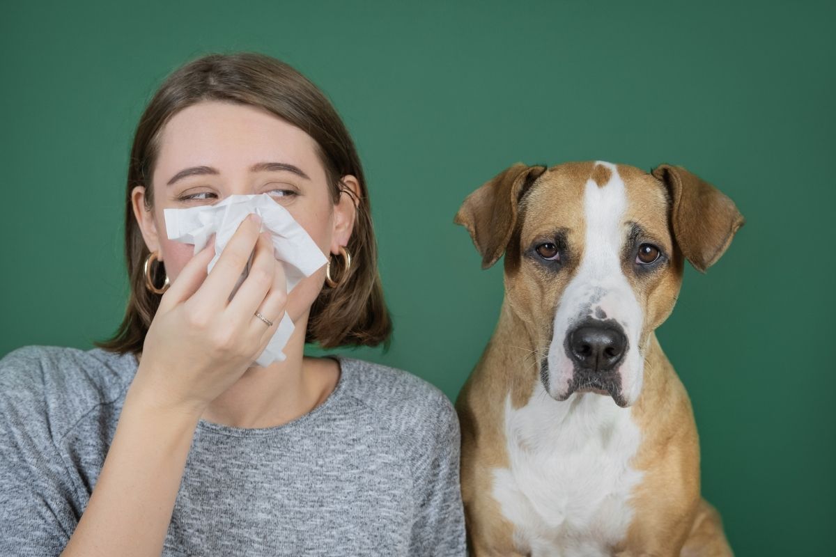 Why is My Dog Coughing and Gagging? Treatment Options PetMaximalist