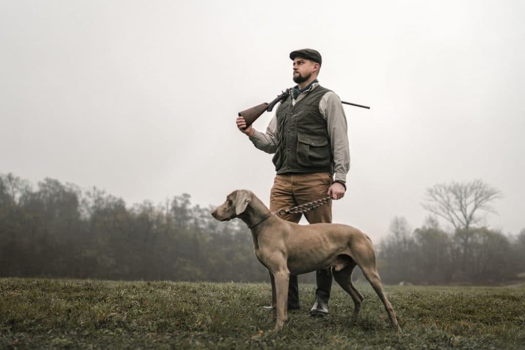 Outstanding Hound Dog Names for Both Females and Males PetMaximalist