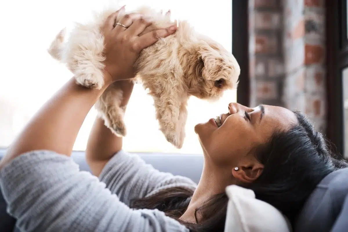 signs your dog loves you