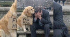 The Dog on the Empty Bench: Free Hugs That Exposed a Woman’s Final