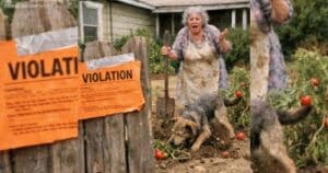The Tomato Garden They Tried to Erase – An Old Widow, Her Dog, and a