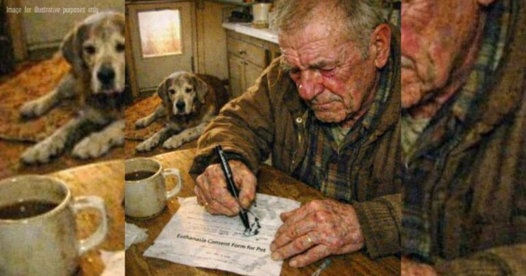 The Last Hunt: An Old Man, His Dying Dog, and One Final Choice ...