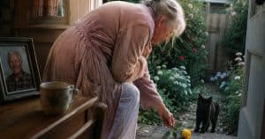 The Cat Who Carried My Husband’s Love Back To Me | PetMaximalist